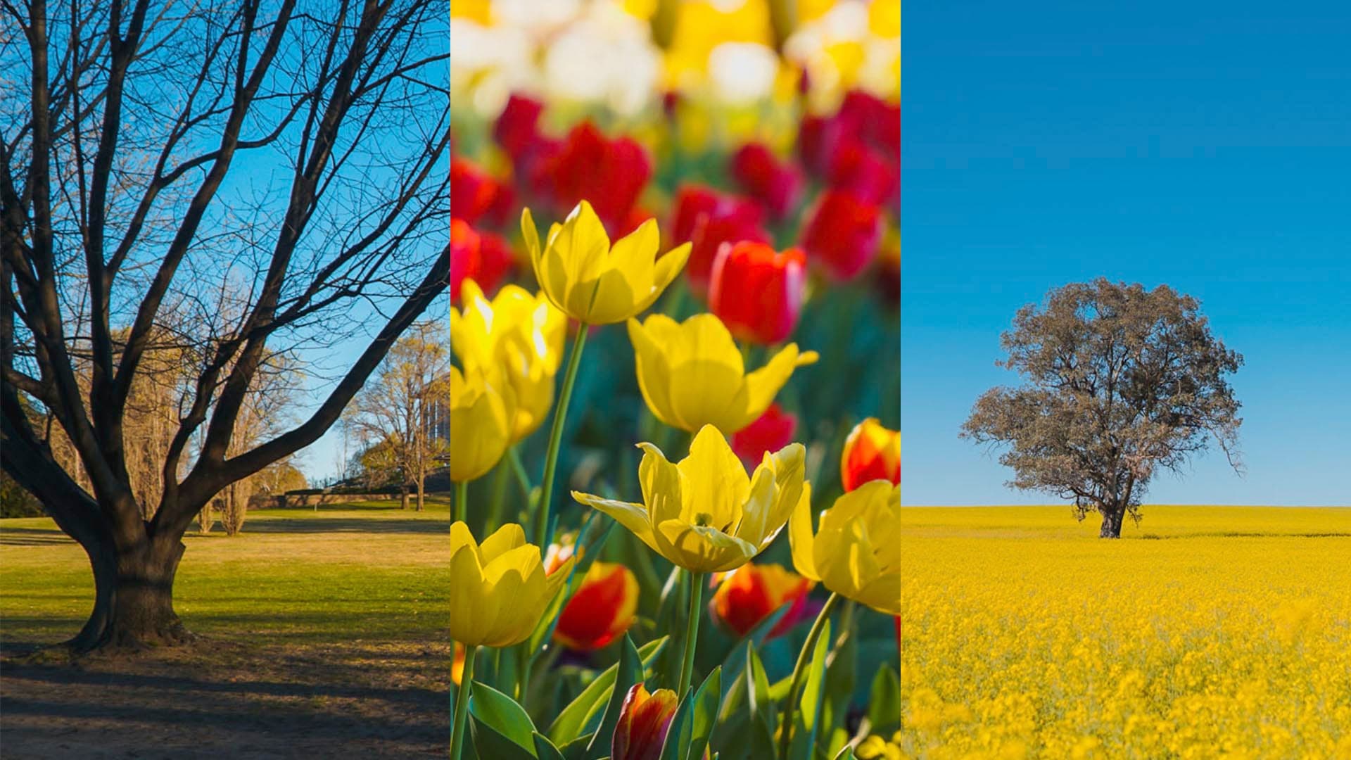 Nature and Landscape Photography